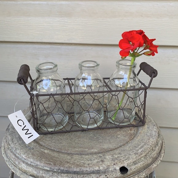 Other - Farm House Chicken Wire Glass Decor